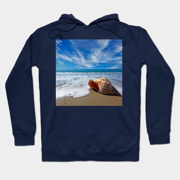 Beach with conch shell under blue sky Hoodie by Constantinos Iliopoulos Photography